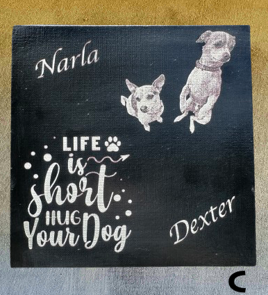 Custom Laser Canvas Art